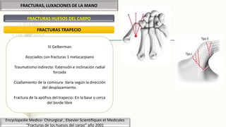 FRACTURAS, LUXACIONES DE LA MANO
FRACTURAS HUESOS DEL CARPO
Encyclopedie Medico- Chirurgical , Elsevier Scientifiques et Medicales
“Fracturas de los huesos del carpo” año 2001
FRACTURAS TRAPECIO
III Gelberman
Asociados con fracturas 1 metacarpiano
Traumatismo indirecto: Extensión e inclinación radial
forzada
Cizallamiento de la comisura: Varía según la dirección
del desplazamiento.
Fractura de la apófisis del trapecio: En la base o cerca
del borde libre
 