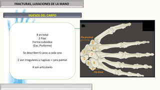 FRACTURAS, LUXACIONES DE LA MANO
HUESOS DEL CARPO
8 en total
2 Filas
Forma cuboidea
(Exc. Pisiforme)
Se describen 6 caras a cada uno
2 son irregulares y rugosas = cara palmar
4 son articulares
 