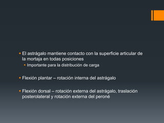  El astrágalo mantiene contacto con la superficie articular de
la mortaja en todas posiciones
 Importante para la distribución de carga
 Flexión plantar – rotación interna del astrágalo
 Flexión dorsal – rotación externa del astrágalo, traslación
posterolateral y rotación externa del peroné
 