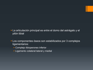  La articulación principal es entre el domo del astrágalo y el
pilón tibial
 Los componentes óseos son estabilizados por 3 complejos
ligamentarios:
 Complejo tibioperoneo inferior
 Ligamento colateral lateral y medial
 