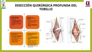Tibia Corta FRACTURAS MALEOLARES ANATOMIA TRAUMATOLOGIA 1.pptx