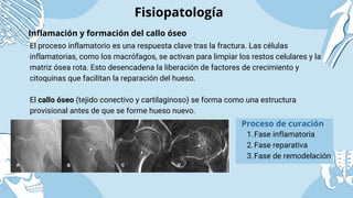 Rehabilitaci n F sica De FRACTURAS Miembro Inferior pdf pdf