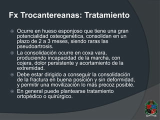 Fx Trocantereanas: Tratamiento
 Ocurre en hueso esponjoso que tiene una gran
potencialidad osteogenética, consolidan en un
plazo de 2 a 3 meses, siendo raras las
pseudoartrosis.
 La consolidación ocurre en coxa vara,
produciendo incapacidad de la marcha, con
cojera, dolor persistente y acortamiento de la
extremidad.
 Debe estar dirigido a conseguir la consolidación
de la fractura en buena posición y sin deformidad,
y permitir una movilización lo más precoz posible.
 En general puede plantearse tratamiento
ortopédico o quirúrgico.
 