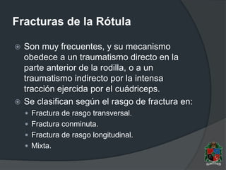 Fracturas de la Rótula
 Son muy frecuentes, y su mecanismo
obedece a un traumatismo directo en la
parte anterior de la rodilla, o a un
traumatismo indirecto por la intensa
tracción ejercida por el cuádriceps.
 Se clasifican según el rasgo de fractura en:
 Fractura de rasgo transversal.
 Fractura conminuta.
 Fractura de rasgo longitudinal.
 Mixta.
 