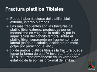 Fractura platillos Tibiales
 Puede haber fracturas del platillo tibial
externo, interno o ambos.
 Las más frecuentes son las fracturas del
platillo tibial externo, producidas por un
mecanismo en valgo de la rodilla, y por la
impactación del cóndilo femoral sobre el
platillo tibial, separando un fragmento hacia
lateral (caída de caballo, accidente en moto,
golpe por parachoque, etc.)
 Fx de ambos platillos tibiales la fractura puede
tomar la forma de una "V invertida", o de una
"T" o "Y", transformándose en un verdadero
estallido de la epífisis proximal de la tibia.
 