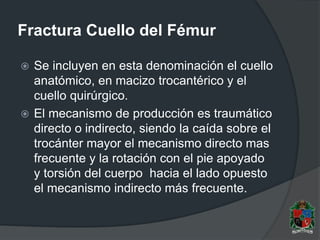 Fractura Cuello del Fémur
 Se incluyen en esta denominación el cuello
anatómico, en macizo trocantérico y el
cuello quirúrgico.
 El mecanismo de producción es traumático
directo o indirecto, siendo la caída sobre el
trocánter mayor el mecanismo directo mas
frecuente y la rotación con el pie apoyado
y torsión del cuerpo hacia el lado opuesto
el mecanismo indirecto más frecuente.
 