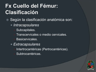 Fx Cuello del Fémur:
Clasificación
 Según la clasificación anatómica son:
 Intracapsulares
○ Subcapitales.
○ Transcervicales o medio cervicales.
○ Basicervicales.
 Extracapsulares
○ Intertrocantéricas (Pertrocantéricas).
○ Subtrocantéricas.
 