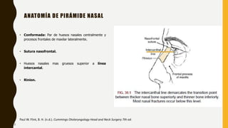 ANATOMÍA DE PIRÁMIDE NASAL
• Conformada: Par de huesos nasales centralmente y
procesos frontales de maxilar lateralmente.
• Sutura nasofrontal.
• Huesos nasales mas gruesos superior a línea
intercantal.
• Rinion.
Paul W. Flint, B. H. (n.d.). Cummings Otolaryngology Head and Neck Surgery 7th ed.
2
 