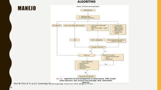 MANEJO
Paul W. Flint, B. H. (n.d.). Cummings Otolaryngology Head and Neck Surgery 7th ed.
ALGORITMO
30
 