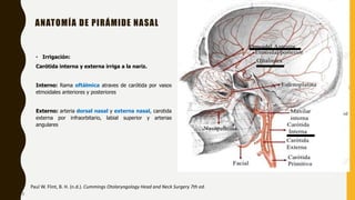 • Irrigación:
Carótida interna y externa irriga a la nariz.
Interno: Rama oftálmica atraves de carótida por vasos
etmoidales anteriores y posteriores
Externo: arteria dorsal nasal y externa nasal, carotida
externa por infraorbitario, labial superior y arterias
angulares
ANATOMÍA DE PIRÁMIDE NASAL
Paul W. Flint, B. H. (n.d.). Cummings Otolaryngology Head and Neck Surgery 7th ed.
7
 