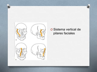 Fracturas nasales y faciales