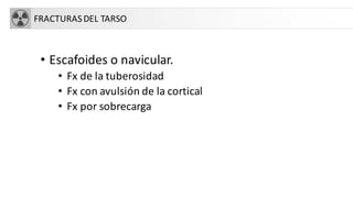 FRACTURASDEL TARSO
• Escafoides o navicular.
• Fx de la tuberosidad
• Fx con avulsión de la cortical
• Fx por sobrecarga
 