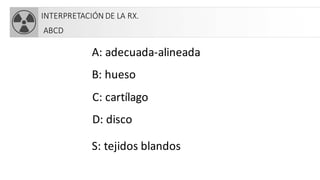INTERPRETACIÓN DE LA RX.
ABCD
A: adecuada-alineada
B: hueso
C: cartílago
D: disco
S: tejidos blandos
 
