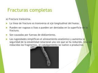 Fracturas completas
a) Fractura transversa.
 La línea de fractura es transversa al eje longitudinal del hueso.
 Pueden ser rugosas o lisas o pueden ser dentadas en la superficie de la
fractura.
 Son causadas por fuerzas de doblamiento.
 Las rugosidades simplifican el alineamiento anatómico y aumenta la
seguridad de la estabilidad rotacional una vez que se ha reducido. Una vez
reducidos los fragmentos, el cabalgamiento no vuelve a producirse.
 
