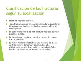 Clasificación de las fracturas
según su localización
 Fractura de placa epifisial.
 Esta fractura ocurre en animales inmaduros durante el
tiempo en que la placa epifisial permanece abierta y
cartilaginosa.
 Se debe mencionar si es una fractura de placa epifisial
proximal o distal.
 En los animales maduros, esta fractura se denomina
fractura de físis.
 La mejor manera de clasificar una fractura de placa
epifisial incluye la forma y severidad de ella,
utilizándose para la descripción el método de Salter-
Harris, que se utiliza para todas las especies.
 