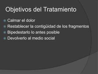 Objetivos del Tratamiento 
 Calmar el dolor 
 Restablecer la contigüidad de los fragmentos 
 Bipedestarlo lo antes posible 
 Devolverlo al medio social 
 