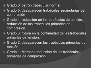  Grado 6: patrón trabecular normal 
 Grado 5: desaparecen trabéculas secundarias de 
compresión 
 Grado 4: reducción en las trabéculas de tensión, 
reducción de las trabéculas primarias de 
compresión. 
 Grado 3: rotura en la continuidad de las trabéculas 
primarias de tensión. 
 Grado 2: desaparecen las trabéculas primarias de 
tensión. 
 Grado 1: Marcada reducción de las trabéculas 
primarias de compresión. 
 