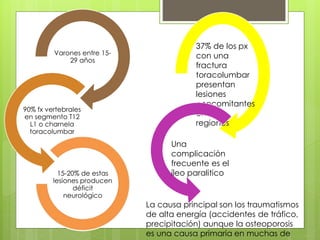 Varones entre 15-
29 años
90% fx vertebrales
en segmento T12
L1 o charnela
toracolumbar
15-20% de estas
lesiones producen
déficit
neurológico
37% de los px
con una
fractura
toracolumbar
presentan
lesiones
concomitantes
en otras
regiones
Una
complicación
frecuente es el
íleo paralitico
La causa principal son los traumatismos
de alta energía (accidentes de tráfico,
precipitación) aunque la osteoporosis
es una causa primaria en muchas de
 