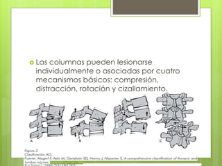  Las columnas pueden lesionarse
individualmente o asociadas por cuatro
mecanismos básicos: compresión,
distracción, rotación y cizallamiento.
 