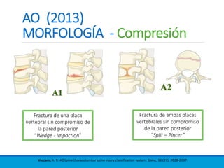 AO (2013)
MORFOLOGÍA - Compresión
Vaccaro, A. R. AOSpine thoracolumbar spine injury classification system. Spine, 38 (23), 2028-2037.
Fractura de una placa
vertebral sin compromiso de
la pared posterior
“Wedge - Impaction”
Fractura de ambas placas
vertebrales sin compromiso
de la pared posterior
“Split – Pincer”
 