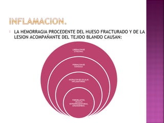  LA HEMORRAGIA PROCEDENTE DEL HUESO FRACTURADO Y DE LA
LESION ACOMPAÑANTE DEL TEJIDO BLANDO CAUSAN:
 
