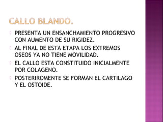  PRESENTA UN ENSANCHAMIENTO PROGRESIVO
CON AUMENTO DE SU RIGIDEZ.
 AL FINAL DE ESTA ETAPA LOS EXTREMOS
OSEOS YA NO TIENE MOVILIDAD.
 EL CALLO ESTA CONSTITUIDO INICIALMENTE
POR COLAGENO.
 POSTERIROMENTE SE FORMAN EL CARTILAGO
Y EL OSTOIDE.
 