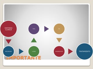 IMPORTANTE
HISTORIA
CLINICA
MECANISMO LUGAR
TIPO RX
DIAGNOSTICO TRATAMIENTO
 