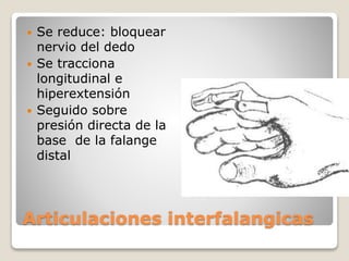 Articulaciones interfalangicas
 Se reduce: bloquear
nervio del dedo
 Se tracciona
longitudinal e
hiperextensión
 Seguido sobre
presión directa de la
base de la falange
distal
 