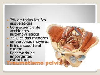 Traumatismo pelvis
 3% de todas las fxs
esqueleticas
 Consecuencia de
accidentes
automovilisticos
 33% caidas menores
en personas mayores
 Brinda soporte al
cuerpo
 Reservorio de
importantes
estructuras
 