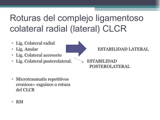 Roturas del complejo ligamentoso
colateral radial (lateral) CLCR
•   Lig. Colateral radial
•   Lig. Anular                         ESTABILIDAD LATERAL
•   Lig. Colateral accesorio
•   Lig. Colateral posterolateral.   ESTABILIDAD
                                      POSTEROLATERAL

• Microtraumatis repetitivos
  cronicos= esguince o rotura
  del CLCR

• RM
 