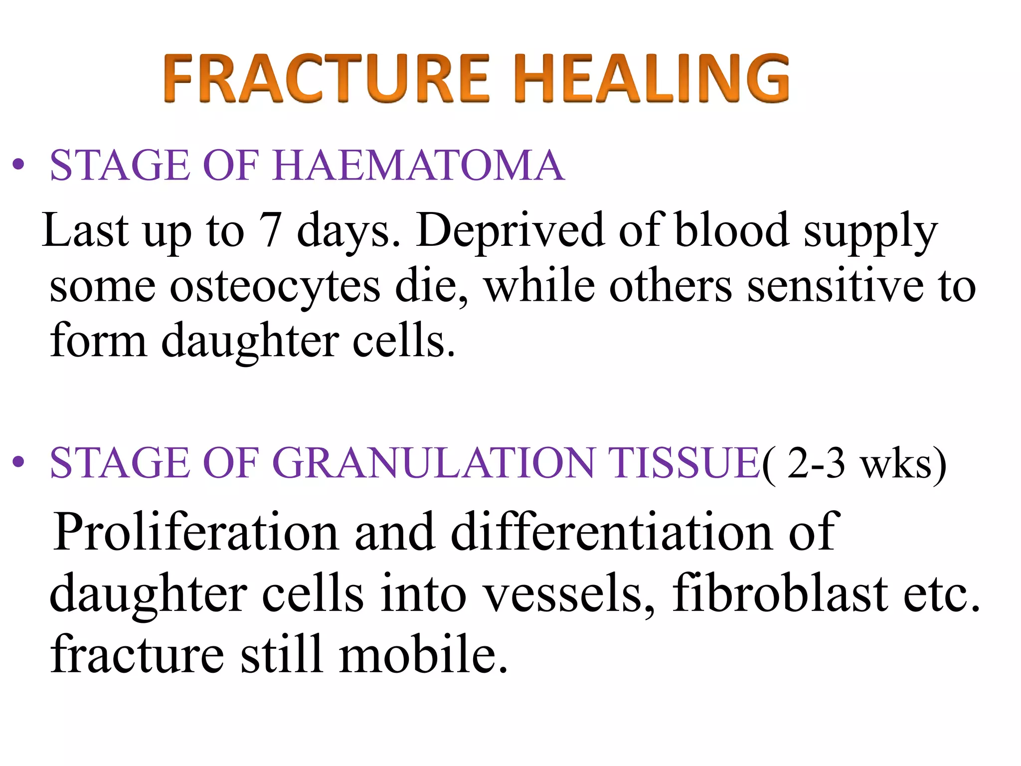 • STAGE OF HAEMATOMA
Last up to 7 days. Deprived of blood supply
some osteocytes die, while others sensitive to
form daughter cells.
• STAGE OF GRANULATION TISSUE( 2-3 wks)
Proliferation and differentiation of
daughter cells into vessels, fibroblast etc.
fracture still mobile.
 