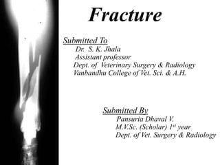 Fracture
Submitted To
   Dr. S. K. Jhala
  Assistant professor
  Dept. of Veterinary Surgery & Radiology
  Vanbandhu College of Vet. Sci. & A.H.




           Submitted By
               Pansuria Dhaval V.
               M.V.Sc. (Scholar) 1st year
               Dept. of Vet. Surgery & Radiology
 