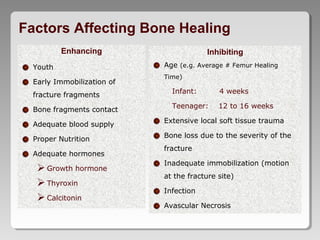 Factors Affecting Bone Healing
Enhancing
Youth
Early Immobilization of
fracture fragments
Bone fragments contact
Adequate blood supply
Proper Nutrition
Adequate hormones
Growth hormone
Thyroxin
Calcitonin
Inhibiting
Age (e.g. Average # Femur Healing
Time)
Infant: 4 weeks
Teenager: 12 to 16 weeks
Extensive local soft tissue trauma
Bone loss due to the severity of the
fracture
Inadequate immobilization (motion
at the fracture site)
Infection
Avascular Necrosis
 