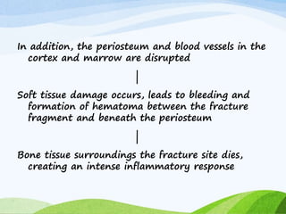 In addition, the periosteum and blood vessels in the
cortex and marrow are disrupted
|
Soft tissue damage occurs, leads to bleeding and
formation of hematoma between the fracture
fragment and beneath the periosteum
|
Bone tissue surroundings the fracture site dies,
creating an intense inflammatory response
 