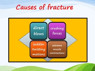 Causes of fracture
direct
blows
crushing
forces
sudden
twisting
motions
extreme
muscle
contractions
 