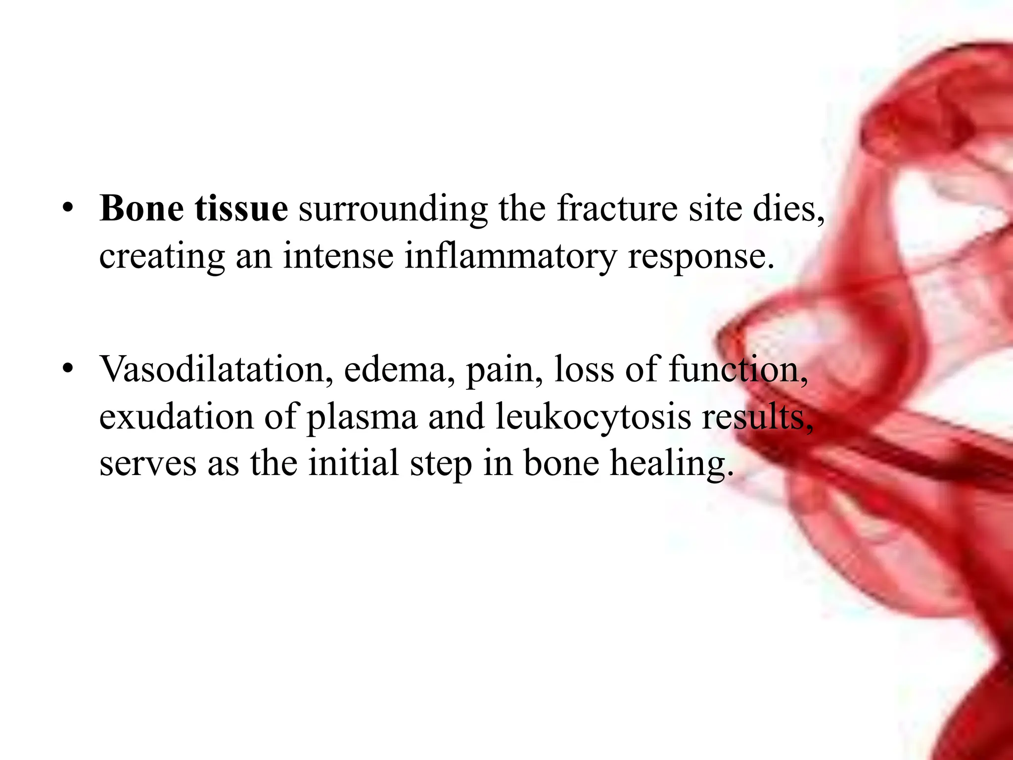 • Bone tissue surrounding the fracture site dies,
creating an intense inflammatory response.
• Vasodilatation, edema, pain, loss of function,
exudation of plasma and leukocytosis results,
serves as the initial step in bone healing.
 