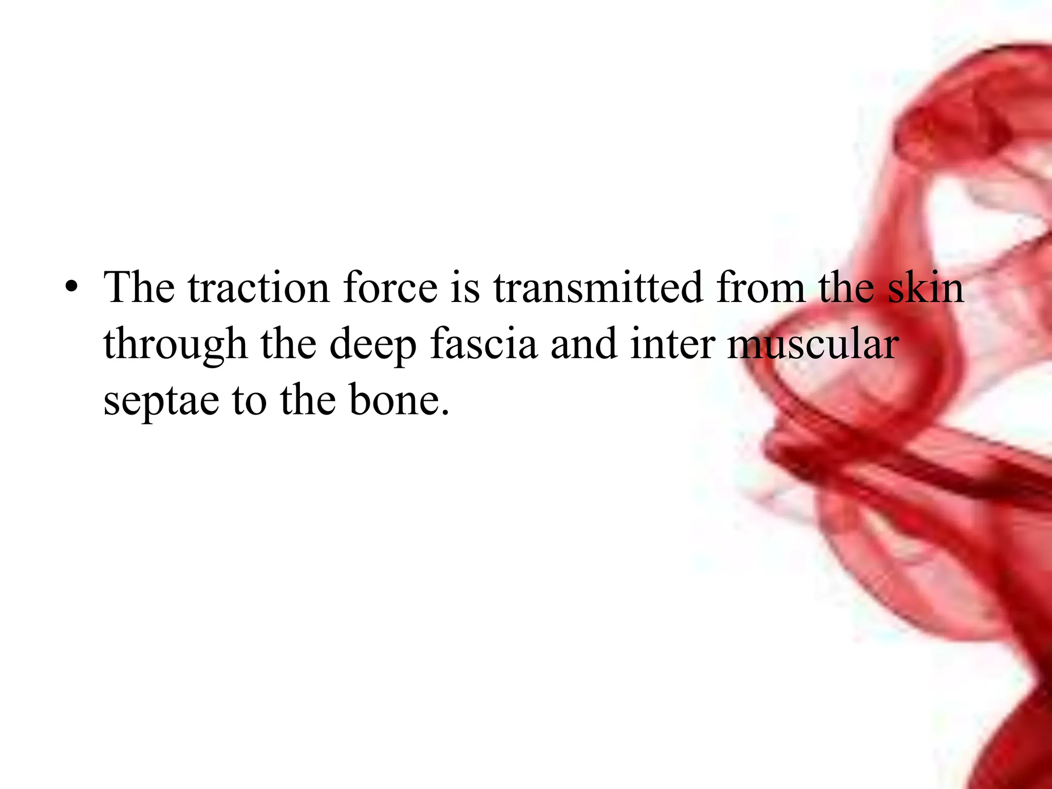 • The traction force is transmitted from the skin
through the deep fascia and inter muscular
septae to the bone.
 