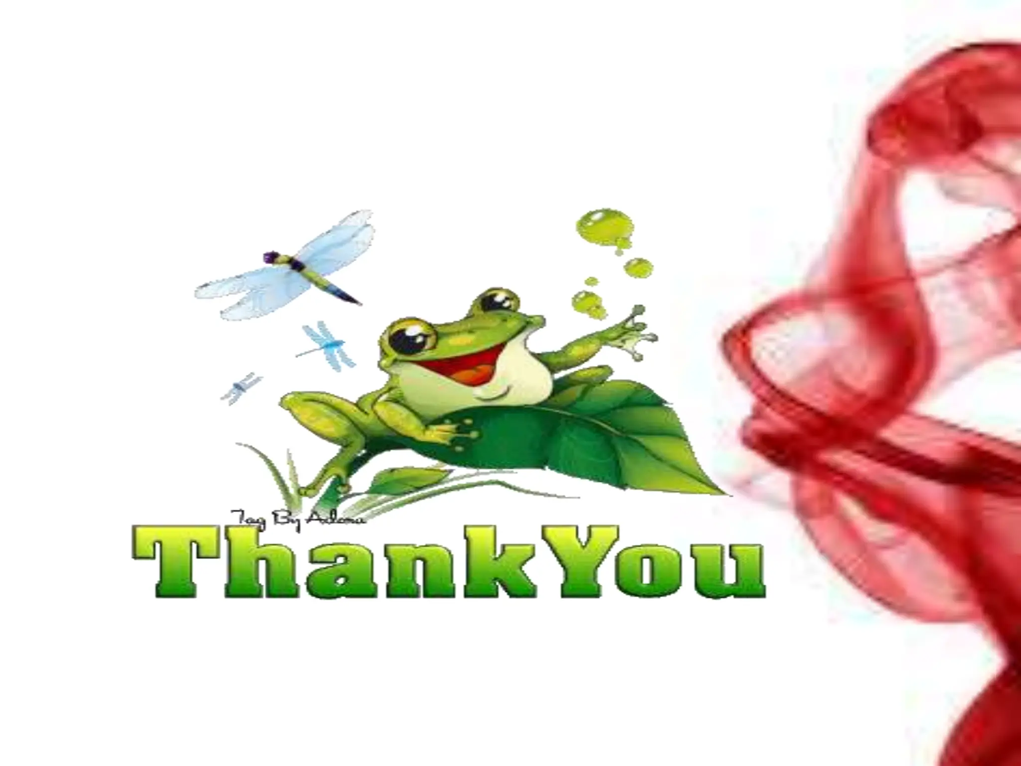 fracture management and reduction and its management