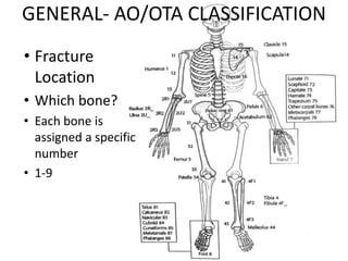 GENERAL- AO/OTA CLASSIFICATION
• Fracture
Location
• Which bone?
• Each bone is
assigned a specific
number
• 1-9
 