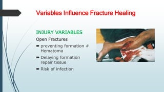 Variables Influence Fracture Healing
INJURY VARIABLES
Open Fractures
 preventing formation #
Hematoma
 Delaying formation
repair tissue
 Risk of infection
 