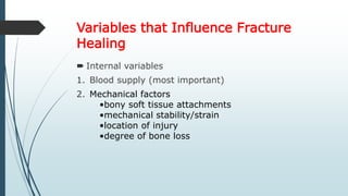 Variables that Influence Fracture
Healing
 Internal variables
1. Blood supply (most important)
2. Mechanical factors
•bony soft tissue attachments
•mechanical stability/strain
•location of injury
•degree of bone loss
 