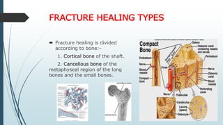 FRACTURE HEALING TYPES
 Fracture healing is divided
according to bone:-
1. Cortical bone of the shaft.
2. Cancellous bone of the
metaphyseal region of the long
bones and the small bones.
 