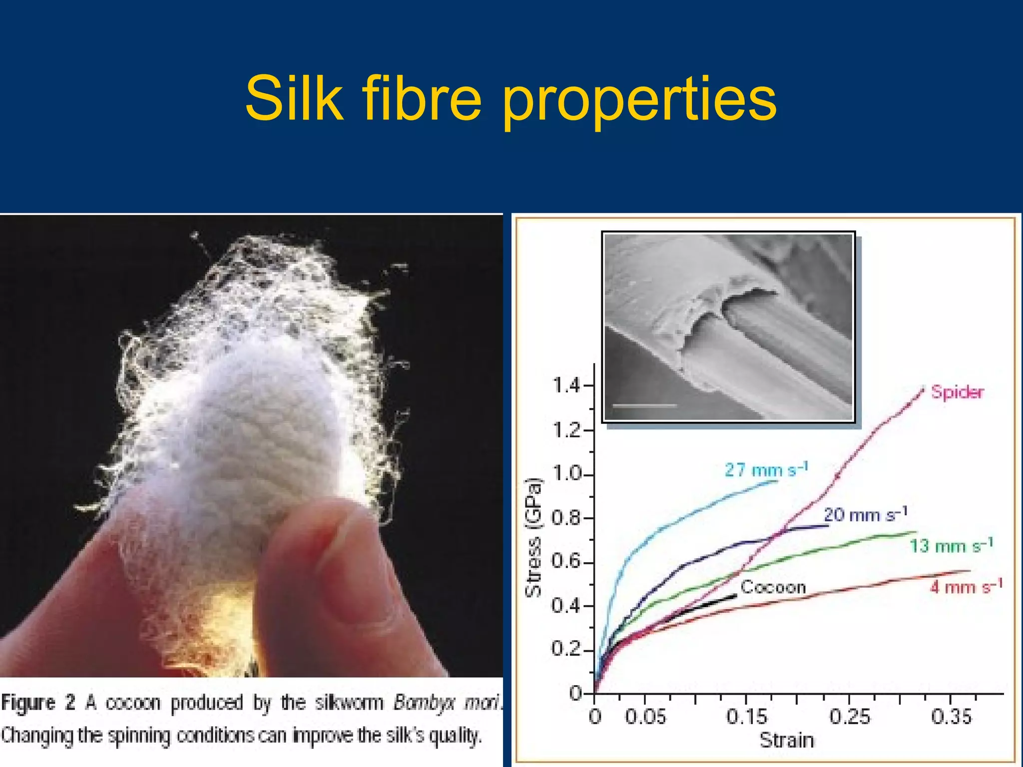 10/16/15 66
Silk fibre properties
 