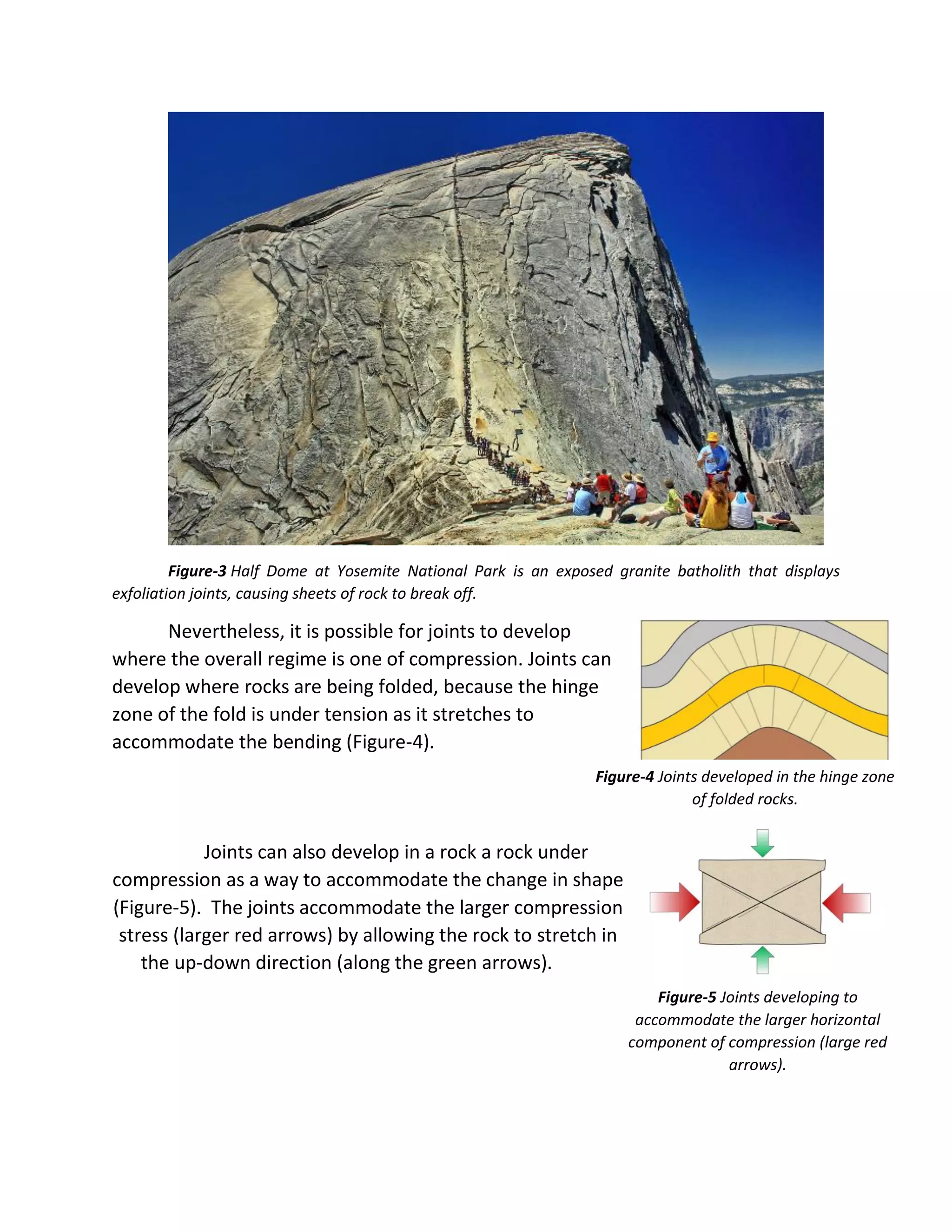 Fracture and joints | PDF