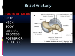 Lateral Processes Fracture calcaneum and talus by dr ashutosh | PPTX