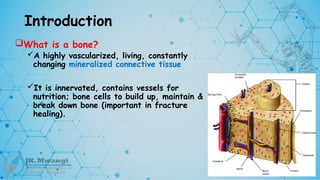 Introduction
What is a bone?
A highly vascularized, living, constantly
changing mineralized connective tissue
It is innervated, contains vessels for
nutrition; bone cells to build up, maintain &
break down bone (important in fracture
healing).
 