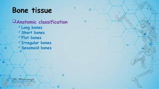 Bone tissue
Anatomic classification
Long bones
Short bones
Flat bones
Irregular bones
Sesamoid bones
 