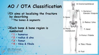 AO / OTA Classification
It aims at localizing the fracture
by describing
The bones & segments
Each bone & bone region is
numbered
1 – humerus
2 – radius & ulna
3 – femur
4 – tibia & fibula
 