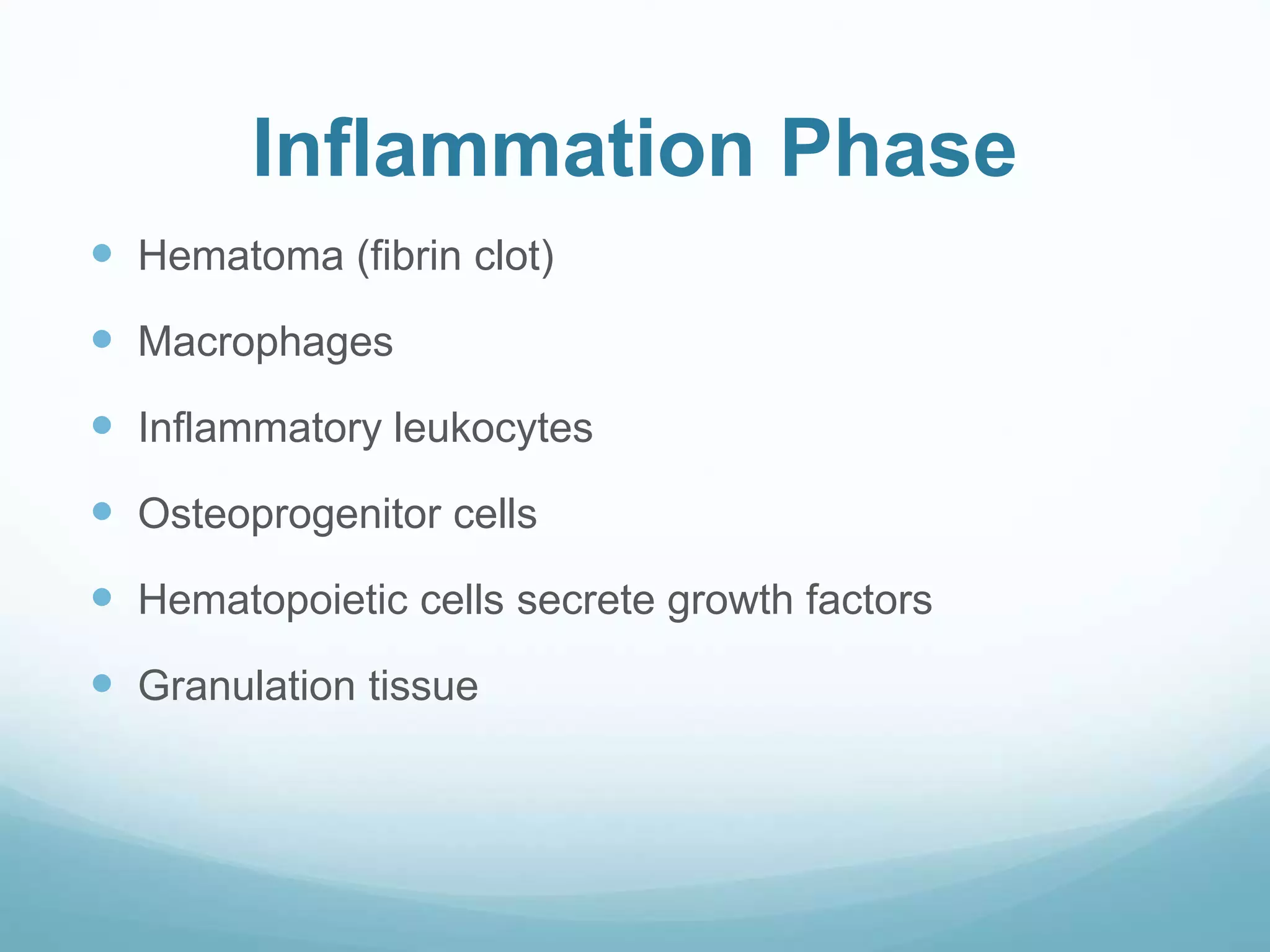 Inflammation Phase
 Hematoma (fibrin clot)
 Macrophages
 Inflammatory leukocytes
 Osteoprogenitor cells
 Hematopoietic cells secrete growth factors
 Granulation tissue
 