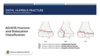 DISTAL HUMERUS FRACTURE
(BASED ON ARTICULAR INVOLVEMENT)
AO/OTA Fracture
and Dislocation
Classification
ORTHO ANDALAS NOTES
 